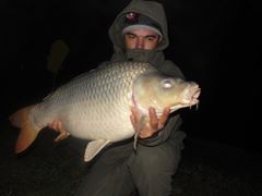 Moara Vlasiei 2 10 - 11 nov.